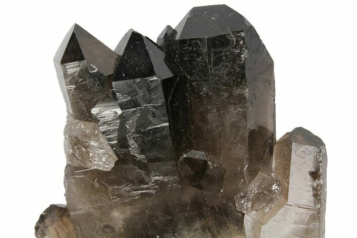 Dark Smoky Quartz Crystal Cluster - Brazil #104087